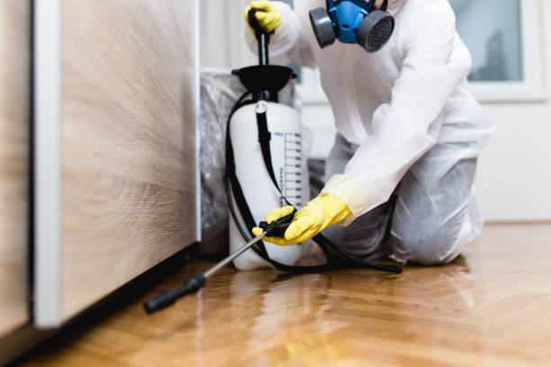 Best Exterminator Services  in Mount Hope, NJ