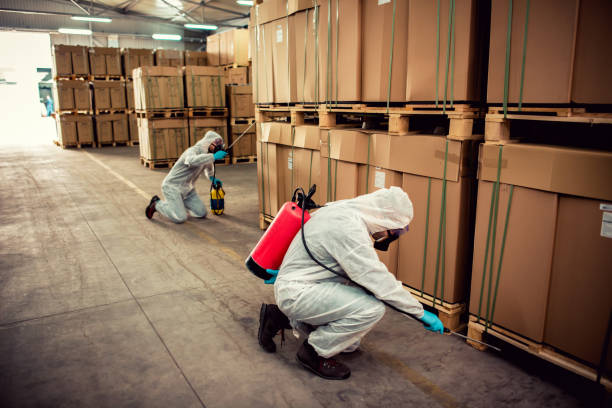 Best Affordable Pest Control Services  in Mount Hope, NJ
