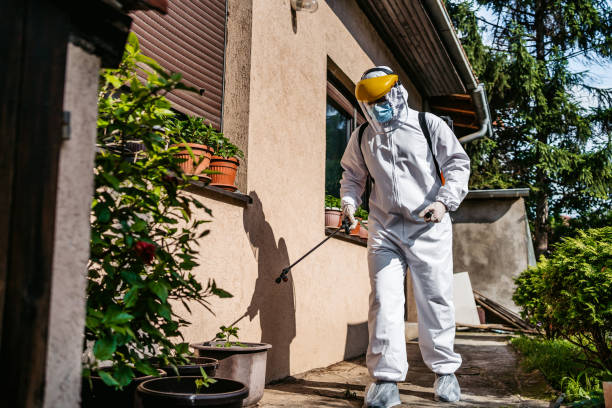 Best Local Pest Control Services  in Mount Hope, NJ