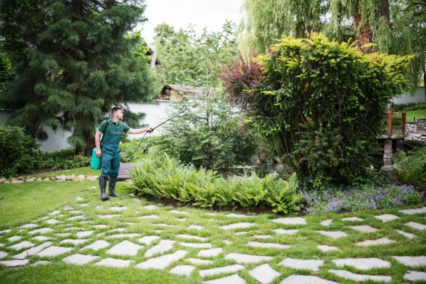 Best Commercial Pest Control Services  in Mount Hope, NJ