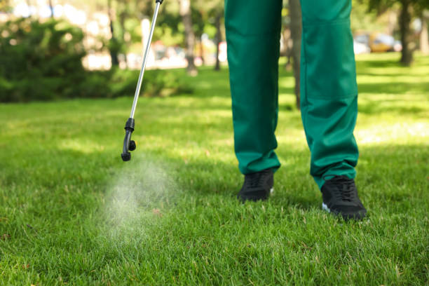 Best Rat Extermination Near Me  in Mount Hope, NJ