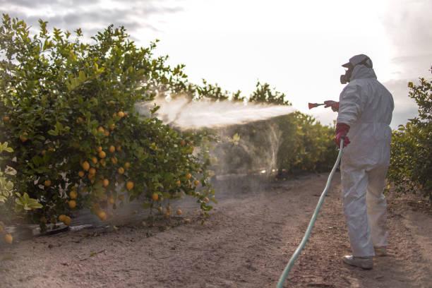 Best Wildlife Control Services  in Mount Hope, NJ