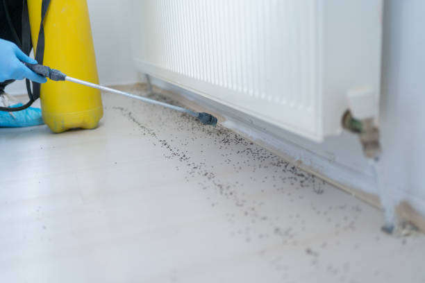 Wildlife Control Services in Mount Hope, NJ