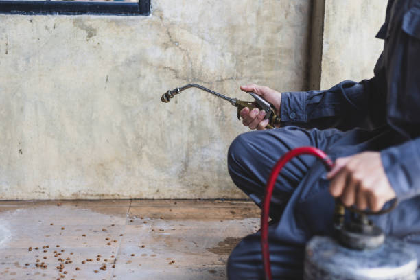 Best Local Pest Control Services  in Mount Hope, NJ