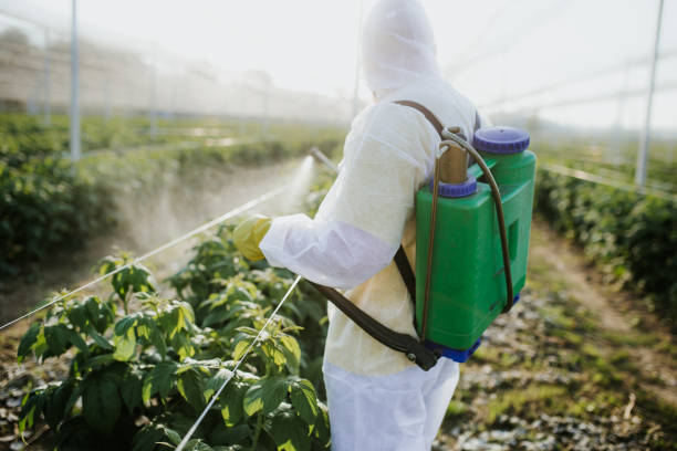 Best Pest Control for Businesses  in Mount Hope, NJ